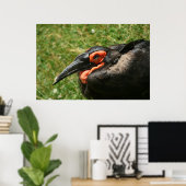 Afrikanisches Hornbill-Poster Poster (Heimbüro)