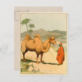 Afrikanisches Kamel und Wüstenreisende Postkarte (Vorne/Hinten)