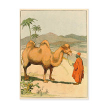 Afrikanisches Kamel und Wüstenreisende