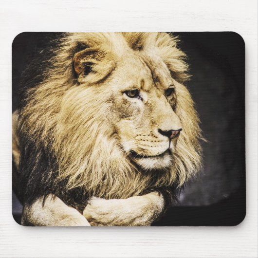 Afrikanisches Löwe mousepad (Vorne)