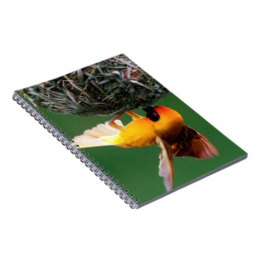 Afrikanisches Maskenspiel (Ploceus Velatus) Notizblock (Rechte Seite)