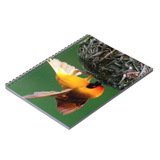 Afrikanisches Maskenspiel (Ploceus Velatus) Notizblock (Linke Seite)