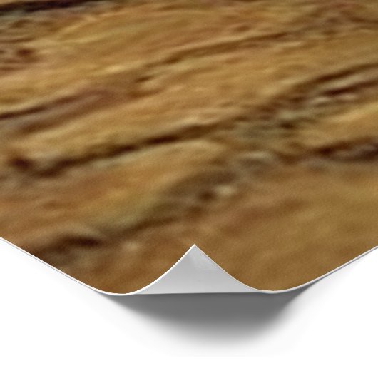 Afrikanisches Modell Posters & Prints Poster (Ecke)