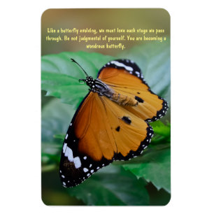 Afrikanisches Monarchfalterinspirationszitat Magnet