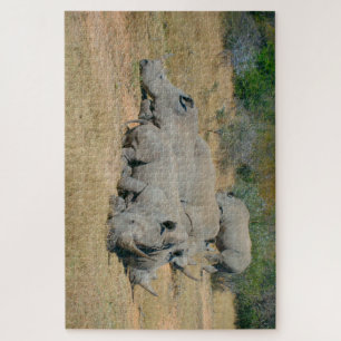 Afrikanisches Nashorn-Familien-Ruhepuzzle Puzzle
