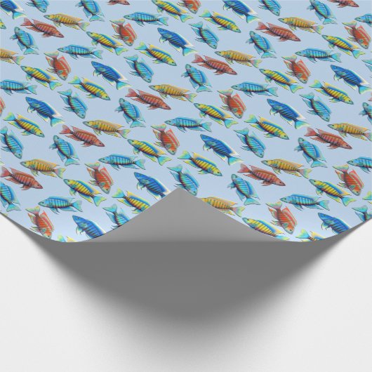 Afrikanisches Pfaucichlid-Fisch-Packpapier Geschenkpapier (Ecke)