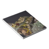 Afrikanisches Rotes Auge Treefrog, Leptopelis Notizblock (angewinkelt)