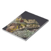 Afrikanisches Rotes Auge Treefrog, Leptopelis Notizblock (Rotiert)