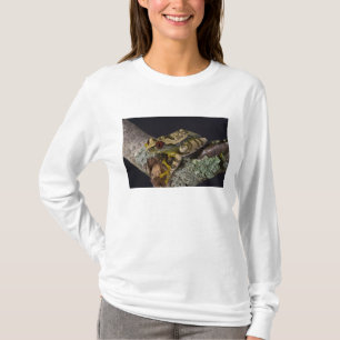 Afrikanisches Rotes Auge Treefrog, Leptopelis T-Shirt