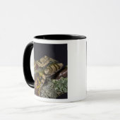 Afrikanisches Rotes Auge Treefrog, Leptopelis Tasse (Vorderseite Links)