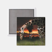 Afrikanisches Schulfeld Magnet (Vorderseite/Rückseite)