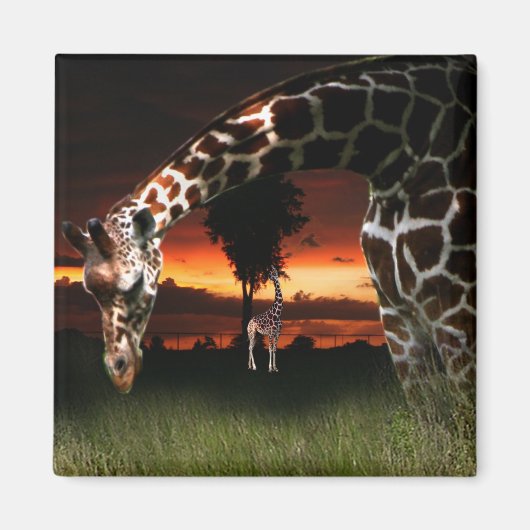 Afrikanisches Schulfeld Magnet (Vorne)