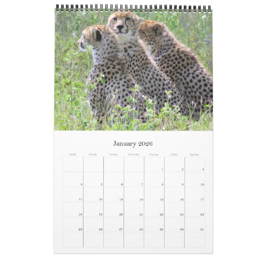 afrikanisches Spiel-Laufwerk 2025 Kalender (Jan 2026)