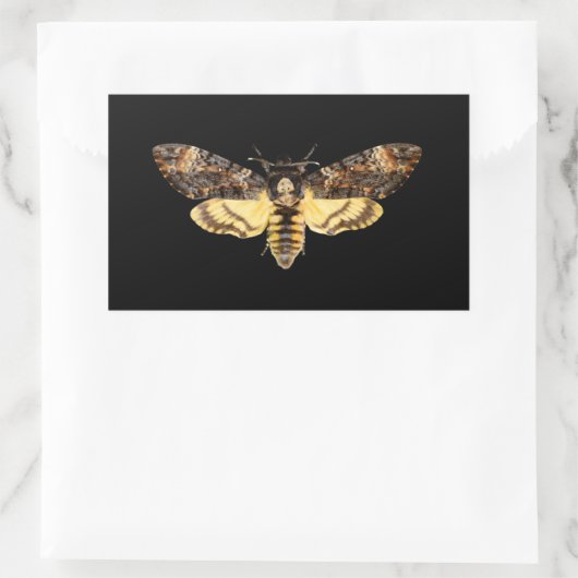 Afrikanisches Todeskopfschmetterlingsinsekt Achero Rechteckiger Aufkleber (Tasche)