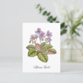 Afrikanisches Veilchen Curtis Botanical Postkarte (Stehend Vorderseite)