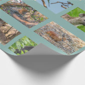 Afrikanisches Verpackungspapier für wild lebende T Geschenkpapier (Ecke)