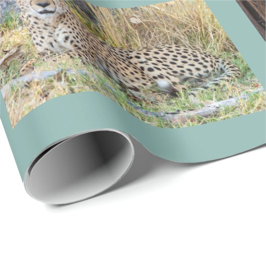Afrikanisches Verpackungspapier für wild lebende T Geschenkpapier (Rolleneckpunkt)