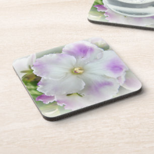 Afrikanisches Violet Blossom Getränkeuntersetzer