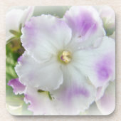 Afrikanisches Violet Blossom Getränkeuntersetzer (Vorderseite)