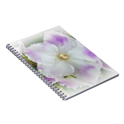 Afrikanisches Violet Blossom Notizblock (Rechte Seite)
