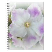 Afrikanisches Violet Blossom Notizblock (Vorderseite)