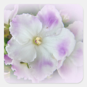 Afrikanisches Violet Blossom Quadratischer Aufkleber