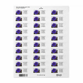 Afrikanisches Violetblühen (Vorne)