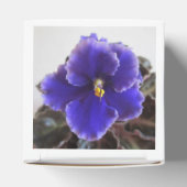 Afrikanisches Violetblühen Geschenkschachtel (Oben)