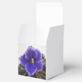 Afrikanisches Violetblühen Geschenkschachtel (Geöffnet)