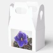 Afrikanisches Violetblühen Geschenkschachtel (Geöffnet)
