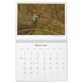 Afrikanisches Vogelleben tragen ein Kalender (Mär 2026)