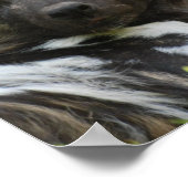 Afrikanisches Wilddokposter Poster (Ecke)