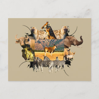 Afrikanisches Wildleben Rahmen Eland Mountain Postkarte