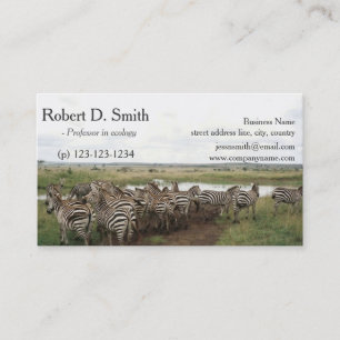 Afrikanisches Wildtier Zebra Wissenschaft Fachmann Visitenkarte
