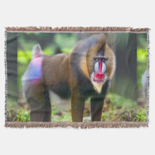 Afrikas Wildnis Decke (Vorderseite)