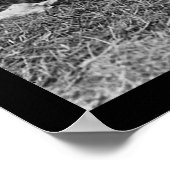 Afroamerikaner mit Kasoos und Gitarre 1914 Poster (Ecke)