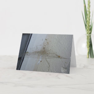 "After a Spider's House-Party" Hallowe’en card Karte