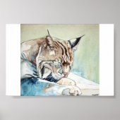 AFter Dinner Washup - Bobcat Poster (Vorne)