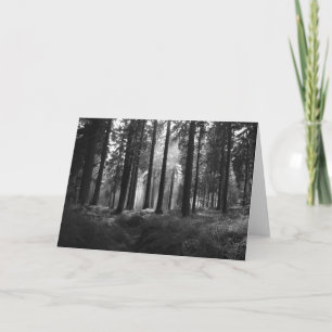 After the Rain • Greeting Card Karte