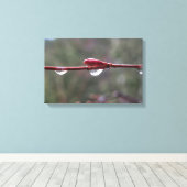 After the Rain Leinwanddruck (Insitu (Holzboden))