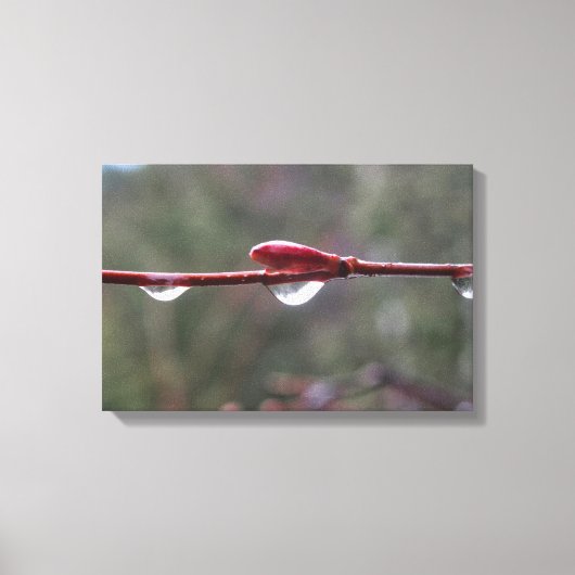 After the Rain Leinwanddruck (Vorderseite)