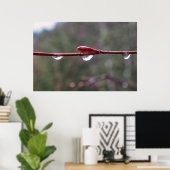 After the Rain Poster (Heimbüro)