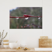 After the Rain Poster (Küche)