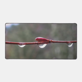 After the Rain Schreibtischunterlage