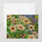 AfterBloom Postkarte (Vorne/Hinten)