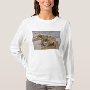 Aga-Kröte Rhinella marina, früher Bufo T-Shirt