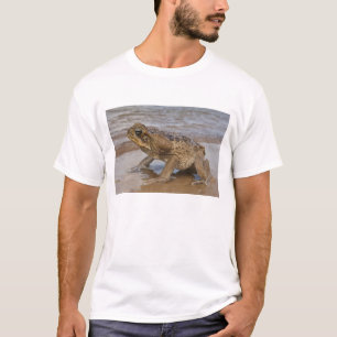 Aga-Kröte Rhinella marina, früher Bufo T-Shirt