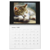 Ägäische Katzen Kalender (Jan 2027)