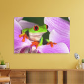 Agalychnis callidryas leinwanddruck (Insitu (Wohnzimmer))