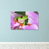 Agalychnis callidryas. leinwanddruck (Insitu (Holzboden))